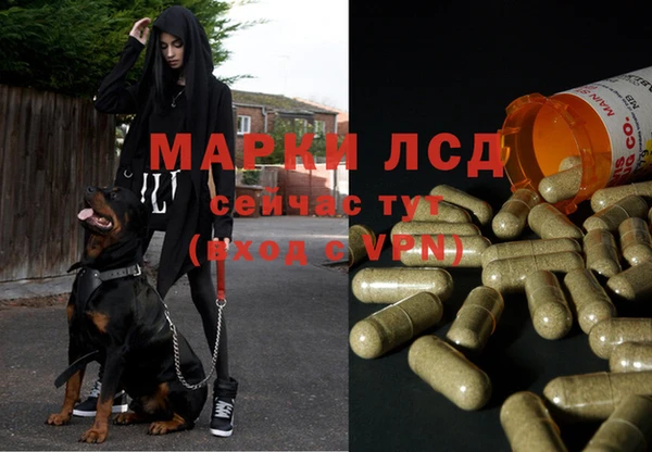 круглые Алзамай