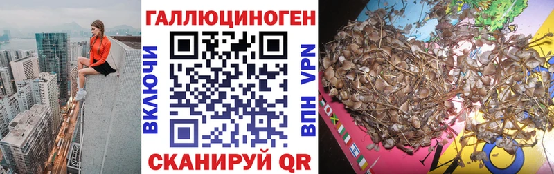 Галлюциногенные грибы Magic Shrooms  купить   Карачев 